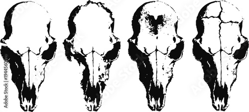 Set of four black and white animal skull illustrations with varying cracks and details