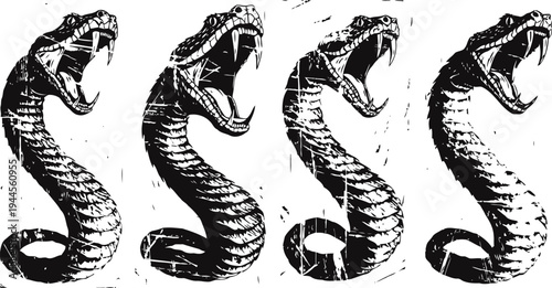 Four aggressive cobra snakes with open mouths in vintage black and white distressed