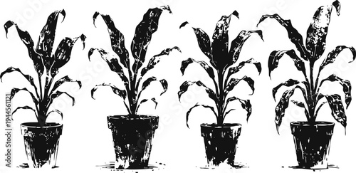 Four hand drawn potted plants in a row with detailed leaves and stems in black ink sketch