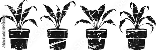 indoor potted plants with broad leaves in textured black pots, botanical home decor set