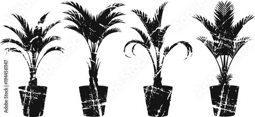 grunge potted palm plants silhouette set with textured effect tropical houseplants, decorative indoor greenery