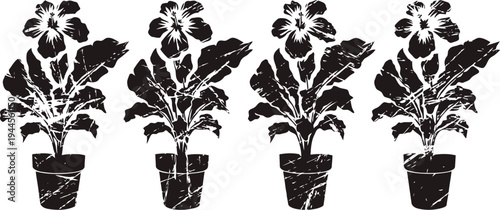 silhouettes of potted hibiscus plants with large flowers and leaves in black and white