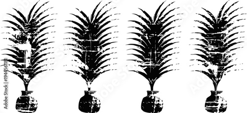 Four palm trees in pots with long leaves in black silhouette on white background