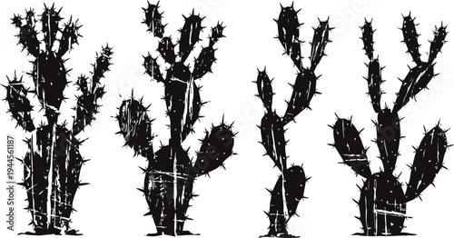 Silhouettes of four different cactus plants with sharp spines and varied shapes isolated on white background