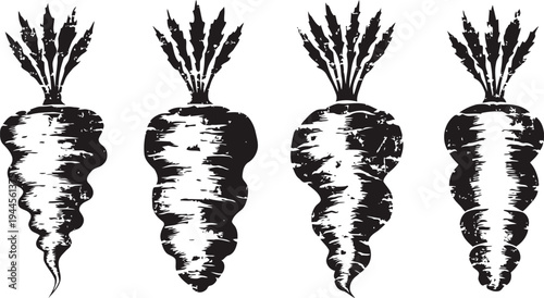 vintage hand drawn carrots set organic healthy vegetable sketch with leaves illustration