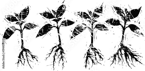 four young plants with detailed roots and leaves in black and white, nature growth concept