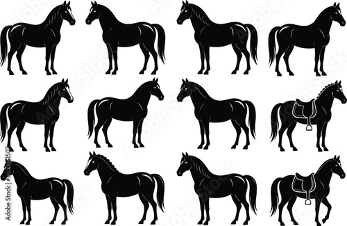 Horse silhouette vector illustration, black and white equestrian design, saddle and braided mane details, livestock animal artwork, rural nature theme, riding preparation graphic