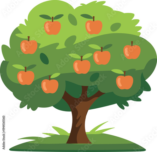 Apple tree with ripe fruits illustration, orchard fruit plant nature concept, garden harvest apple tree vector, botanical design