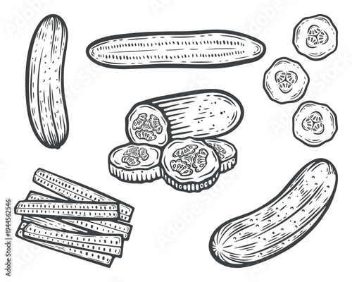 Cucumber set, whole, half, slices, stripes, circles, with seeds, food prep, lines, hand-drawn, black and white, graphic illustration, engraving isolated