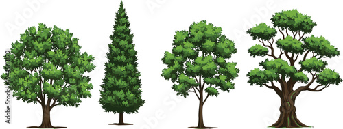 Green Tree Collection Different Forest and Garden Trees Isolated Nature Plants Vector Illustration Set