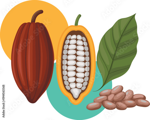 Cocoa pod with beans and leaf isolated botanical cacao fruit illustration for chocolate ingredient concept