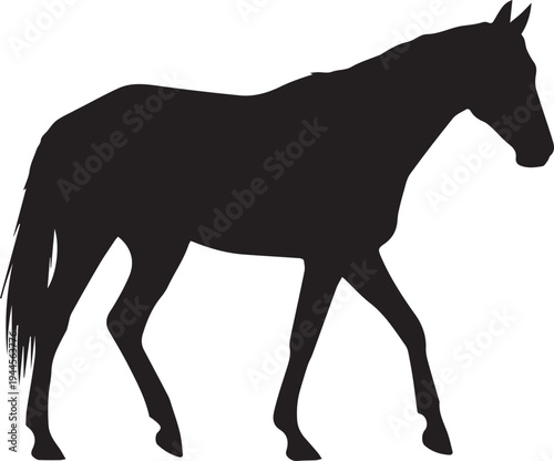 Horse silhouette illustration vector graphic