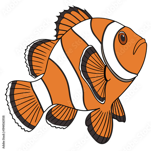 Blue Tang Tropical Fish Isolated on White