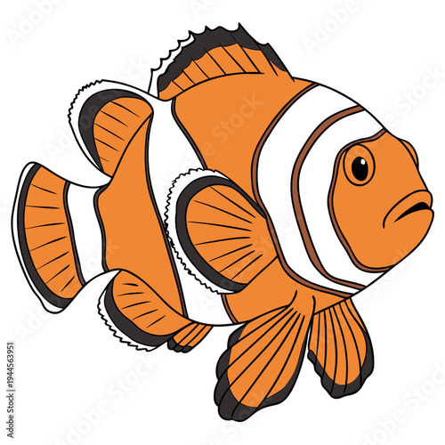 blue Tang Tropical Fish Isolated on White