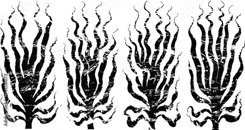 Four stylized black and white antique seaweed illustrations with wavy organic shapes