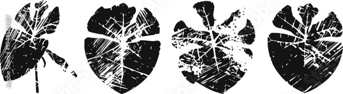 grunge tropical monstera leaves with rough textures in black and white silhouettes