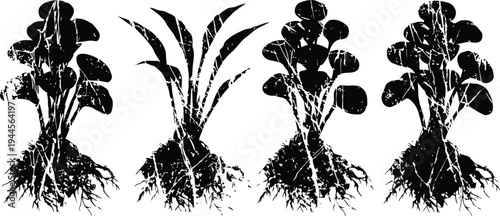set of black silhouette root vegetables with leaves and detailed roots design isolated on white