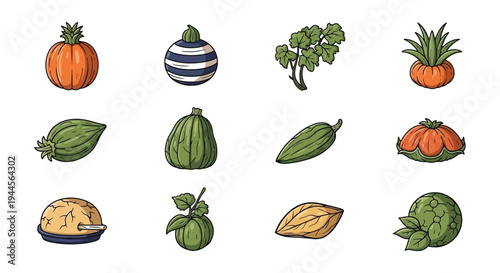 Assorted nuts displayed in a colorful illustrative arrangement