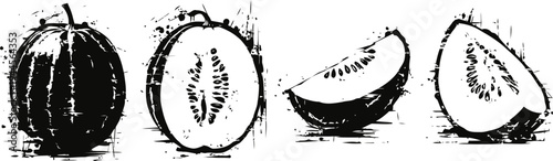 Watermelon whole and sliced vintage black and white engraved fruit illustration