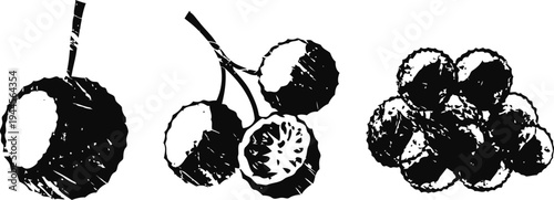 Black and white hand drawn cherries sketch fresh cherry fruits isolated on white background