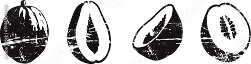 vintage black and white illustrations of tropical fruits coconut, papaya, lychee, and kiwi halves with seeds