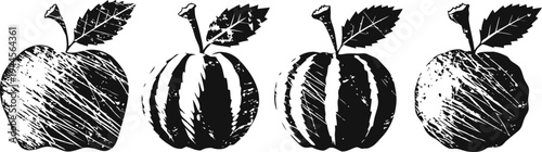 black and white sketch of apple and pumpkin fruits with leaves, engraved autumn harvest illustration