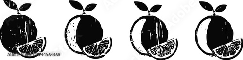 black and white citrus fruit illustrations with leaves and half cut slices in a minimalist