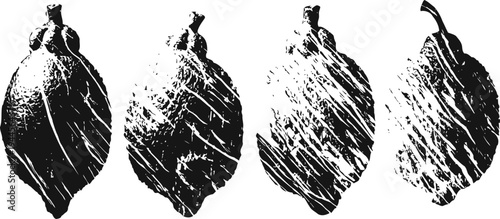 four grunge leaf silhouettes with textured shading botanical nature illustration in black and white