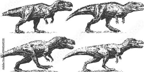 Four tyrannosaurus rex dinosaurs walking in different poses prehistoric reptile illustration with detailed texture and anatomy