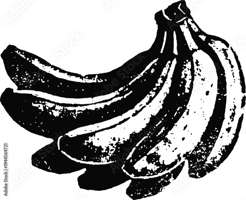 Bunch of ripe bananas illustration fresh tropical fruit cluster with visible texture and shading