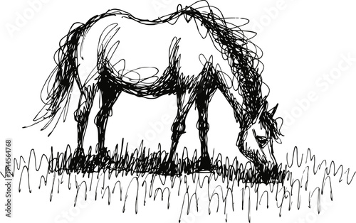 Sketch of a horse grazing on grass hand drawn black ink line art with rough and expressive stroke
