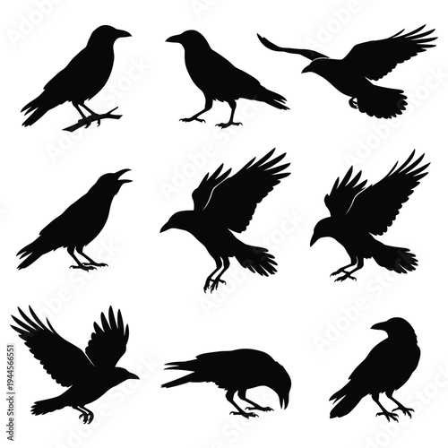 Black Crow and Raven Silhouette Vector Set – Crow Poses and Flight Actions