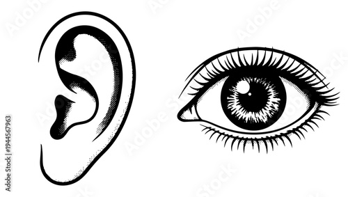 Halftone Ear and Eye Vector Illustration, Black and White Human Anatomy Elements Isolated on PNG Background, halftone, ear, eye, human ear, human eye, anatomy illustration, ear illustration, png eye,