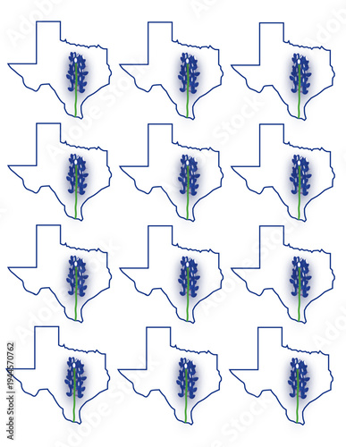 Blue State of Texas Outline with Blue Bonnet State Symbol Pattern