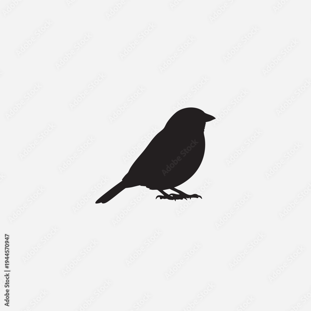 Obraz premium A black crow perched on a gnarled branch isolated against a clean white background