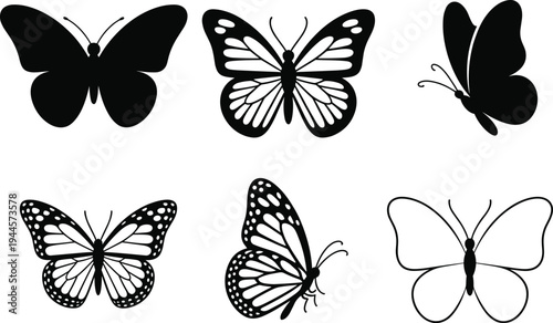 Six black and white butterfly with various patterns and nature