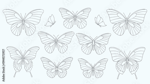 Beautiful collection of various butterfly line art drawings shows diverse wing patterns and sizes for creative nature-themed coloring art.