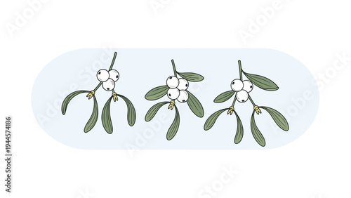 Three sprigs of mistletoe with green leaves and white berries are displayed on a soft blue oval background.