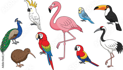 Colorful tropical and exotic bird collection vector illustration featuring flamingo, parrot, toucan, peacock, cockatoo, kiwi and crane