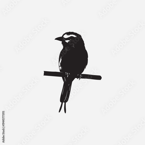 Vector illustration of a black crow silhouette with a sharp beak and feathers perched on a wild tree branch isolated on a white background