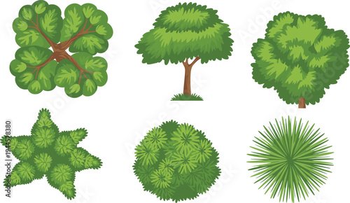 Six Different Green Leafy Tree Canopy on White Background nature