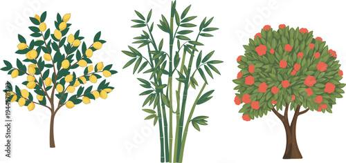 Three colorful fruit trees with lemons peaches and bamboo plants lemon tree peach tree yellow lemons