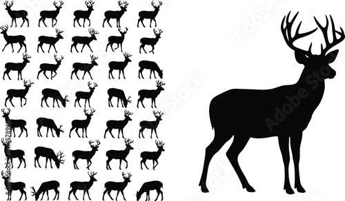 Diverse collection of deer silhouettes with antlers, standing and walking stag figures, isolated forest animal vector illustrations for hunting and nature.