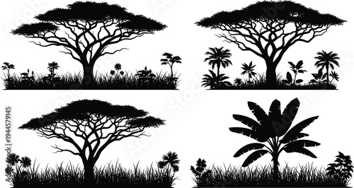 Set of black acacia tree silhouettes and tropical banana plants with wild grass borders for African savanna landscape safari and nature wilderness concept design.