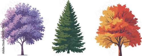Three colorful trees with purple, green, and autumn foliage on a white background purple tree green tree