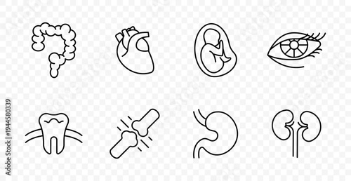 Internal organs set icon. Intestine, heart, fetus, eye, tooth, joint pain, stomach, kidney, anatomy, diagnostics, medical illustration