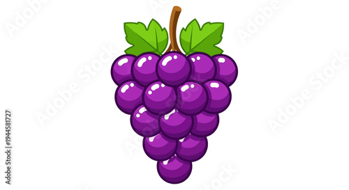 A bunch of ripe purple grapes with green leaves on a white background