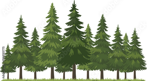 A Group of Tall Green Pine Trees Standing in a Row on a Grass Field forest nature