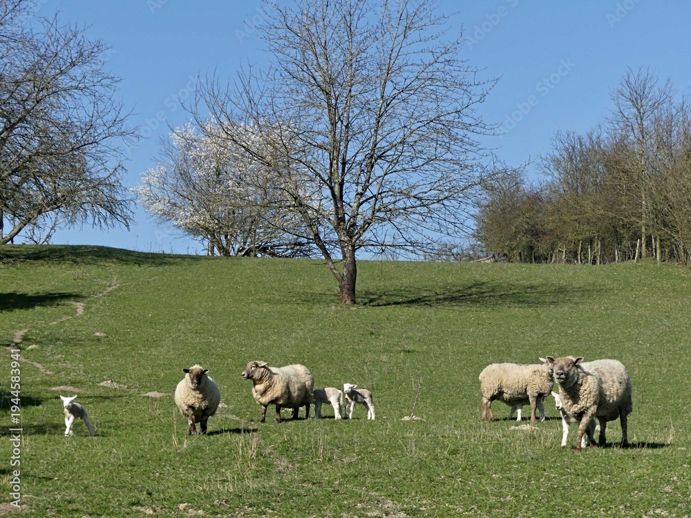 Obraz premium Hiking in the Argonne forest in France