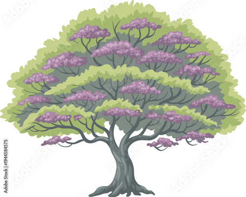 Large tree with green leaves and purple blossoms in full bloom
